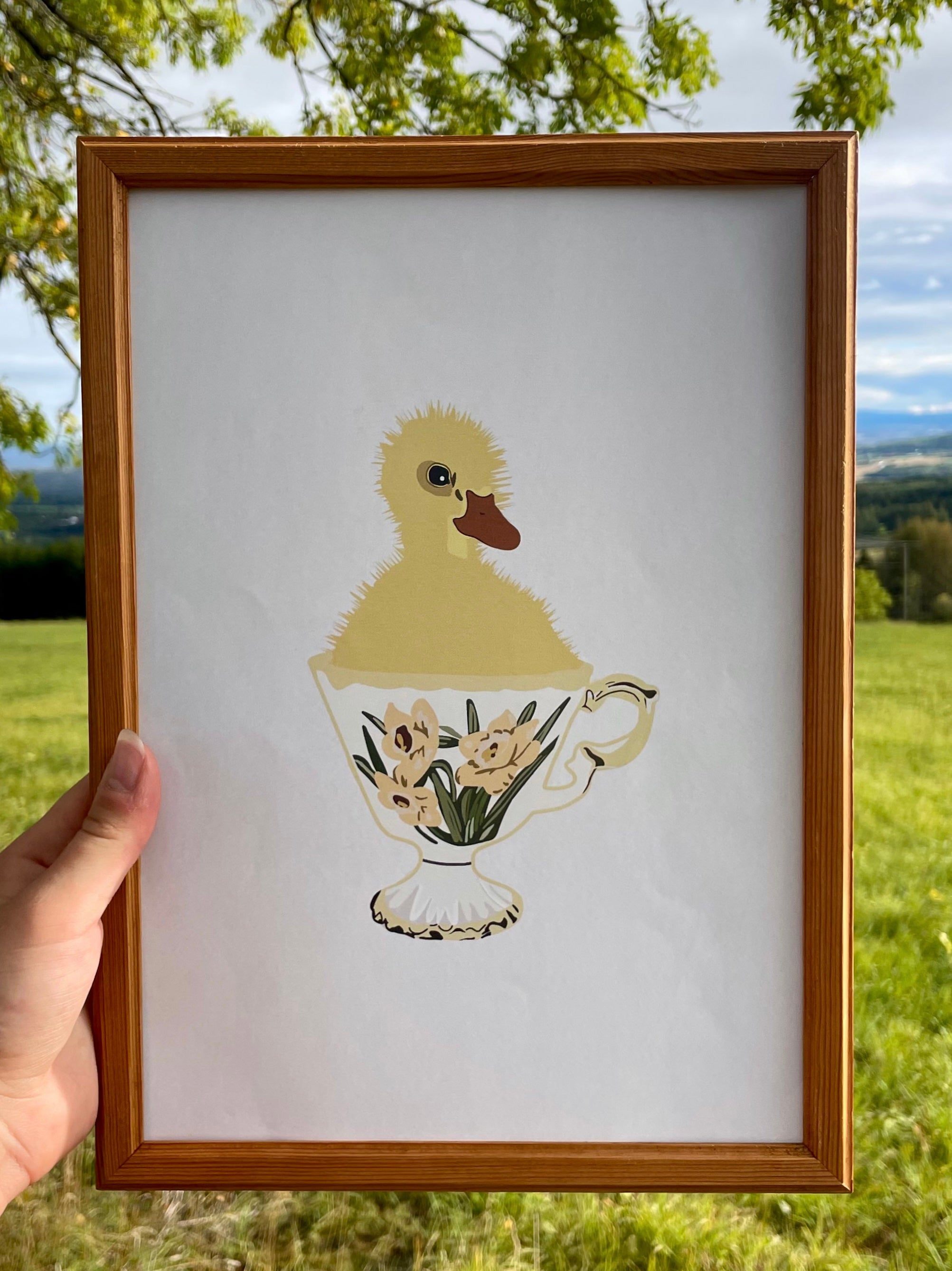 Duckling in a Teacup