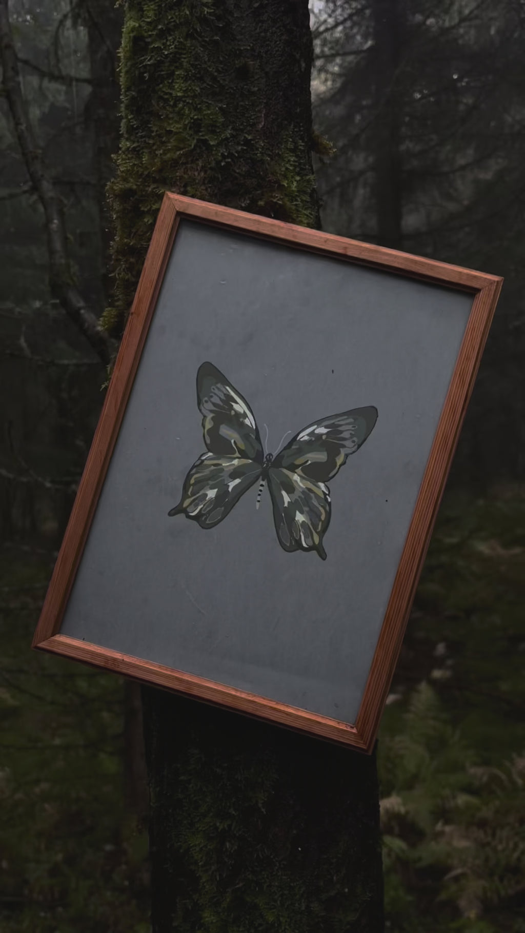 Enchanted Butterfly