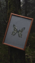 Enchanted Butterfly