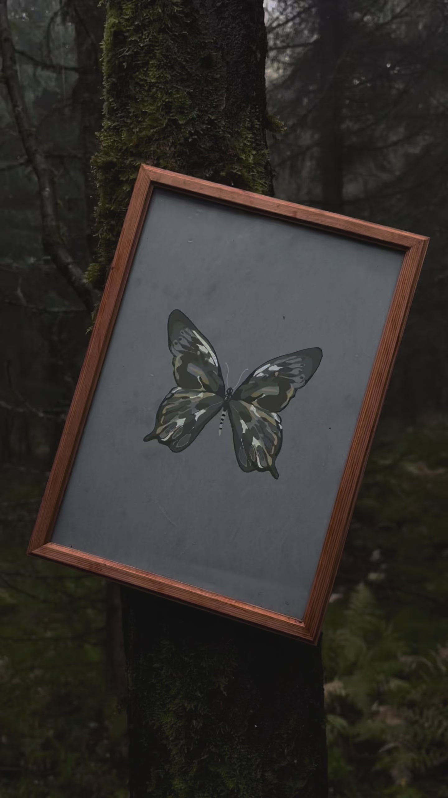 Enchanted Butterfly